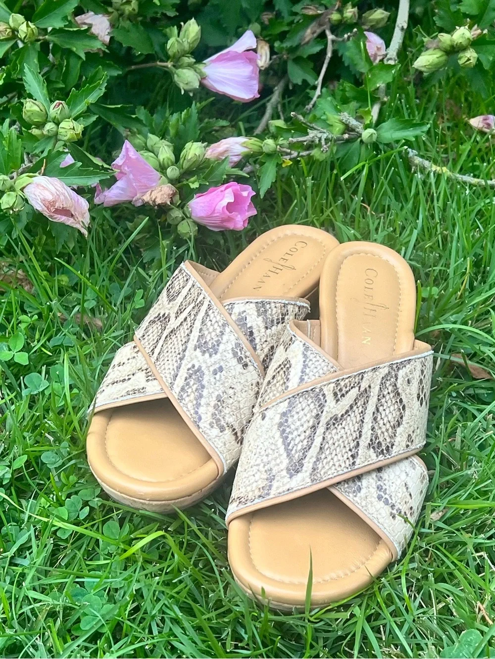 Cole Haan Snakeskin snake 🐍 wedges cork cushioned comfort with Nike Technology 7